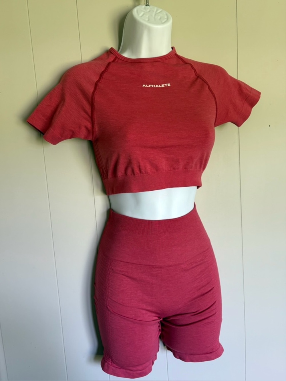 Alphalete Activewear Set